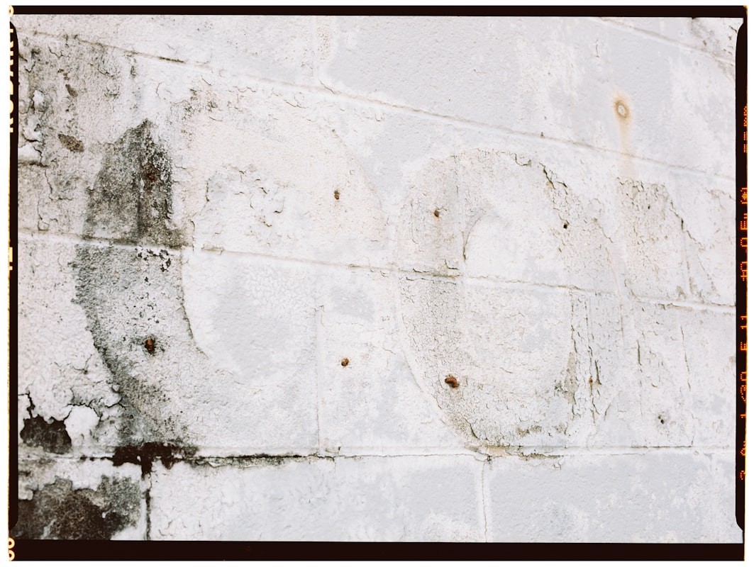 Storm Damage Repair service in Florence-Graham, CA